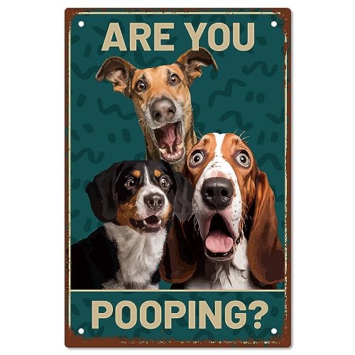 CREATCABIN 3Dogs Blechschild Toilette Vintage Metallschild ARE YOU POOPING Retro Gemälde Plakette Eisenschild Wanddekoration Kunstwandbild Aufhängen Für Toilette,Waschraum,Badezimmer,30x20cm von CREATCABIN