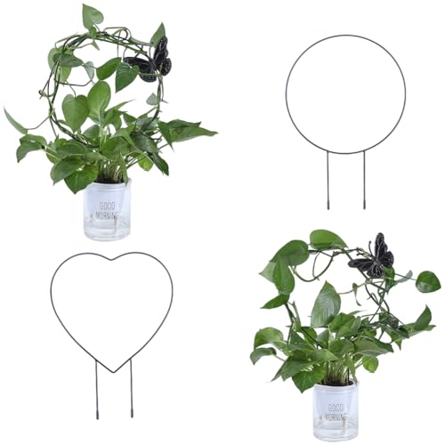 CREATCABIN 4 Stück Pflanzenspalier Metall Topfpflanzenstütze Für Kletterpflanzen Garten Topfpflanzen Für Den Innen Außenbereich Pothos Efeu Junzi Orchidee Geldbaum Minirose Schwarzer Schmetterling CREATCABIN 4 Stück Pflanzenspalier Metall Topfpflanzenstütze Für Kletterpflanzen Garten Topfpflanzen Für Den Innen Außenbereich Pothos Efeu Junzi Orchidee Geldbaum Minirose Schwarzer Schmetterling von CREATCABIN