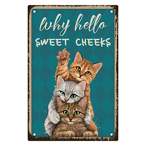 CREATCABIN Blechschild Mit 3 Katze Why Hello Sweet Cheeks Lustiges Blechschild Vintage-Metallplakat Retro-Wanddekoration Aufhängen Für Zuhause Badezimmer Küche Wohnzimmer Weihnachten Geschenke 20x30cm von CREATCABIN