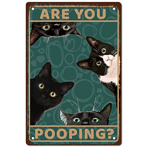 CREATCABIN Blechschild Mit Schwarzer Katze Are You Pooping Metall Vintage-Retro-Kunstwand Aufhängen Eisen Gemälde Poster Plakette Tiere Familie Wanddekoration Für Wohnzimmer Café Dekoration 20x30cm von CREATCABIN