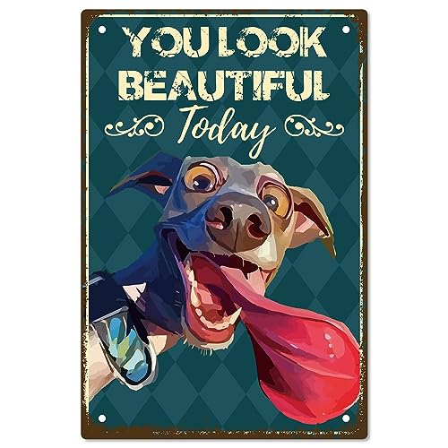 CREATCABIN Metall-Blechschild Hund,Vintage-Gemälde,Poster,Plakette,Retro-Eisenschild,You Look Beautiful Today,Wandbild Zum Aufhängen,Wandkunst-Dekor Für Badezimmer,Restaurant,Dekor,Geschenk,20x30cm von CREATCABIN