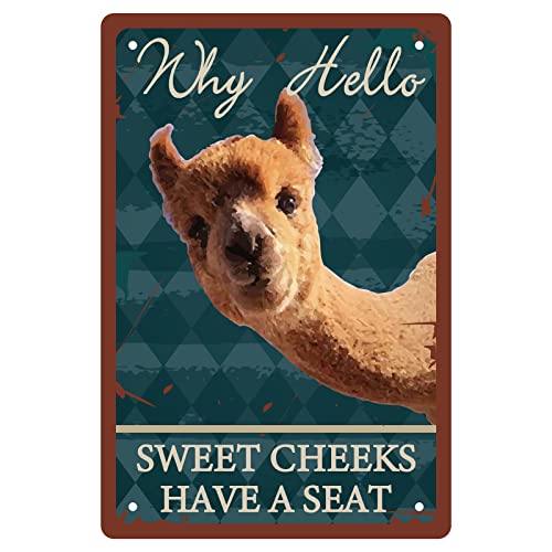 CREATCABIN Metall-Blechschild Mit Lustigem Badezimmer-Zitat Vintage Why Hello Sweet Cheeks Have A Seat-Schild Alpaka-Blechschild Für Bar Pub Café Badezimmer Wohnzimmer Poster Wanddekoration 8x12 Zoll von CREATCABIN