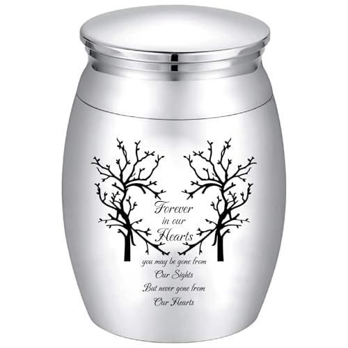 CREATCABIN Mini Urnen Teilen Asche Kleine Urnen Zur Einäscherung Andenkenurnen Für Menschen Haustiere Miniatur Aschebehälter Für Beerdigungen Kleine Gedenkgläser Dekoratives Geschenk 3x4cm-Silber CREATCABIN Mini Urnen Teilen Asche Kleine Urnen Zur Einäscherung Andenkenurnen Für Menschen Haustiere Miniatur Aschebehälter Für Beerdigungen Kleine Gedenkgläser Dekoratives Geschenk 3x4cm-Silber von CREATCABIN