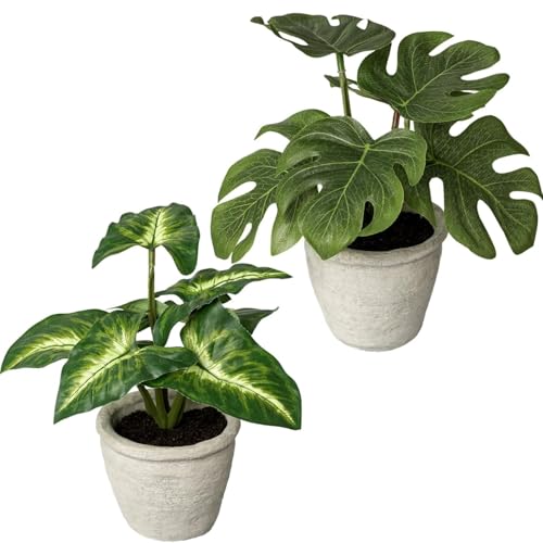 CREATIV green 2er Set Kunstpflanzen I künstliche Monstera & Syngonium im Zementtopf I Künstliche Zimmerpflanzen im Topf 20cm I künstlicher Zimmerpflanzen-Mix I hochwertige Kunstpflanzen für innen von CREATIV green
