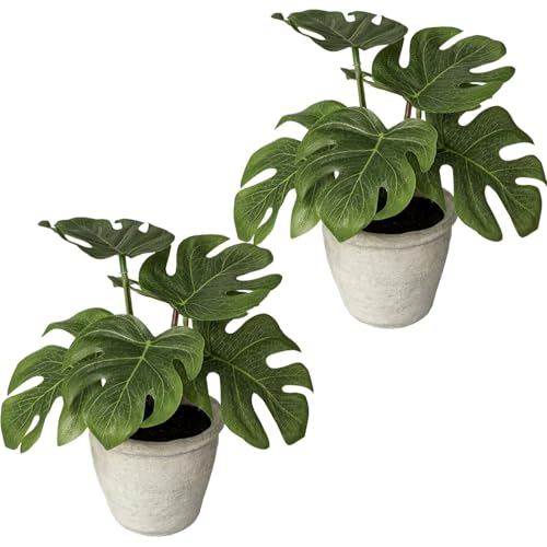 CREATIV green 2er Set Monstera Kunstpflanzen I 2X Monstera 20 cm im Zementtopf I Künstliche Zimmerpflanzen im Topf I künstlicher Zimmerpflanzen-Mix I hochwertige Kunstpflanzen für innen von CREATIV green