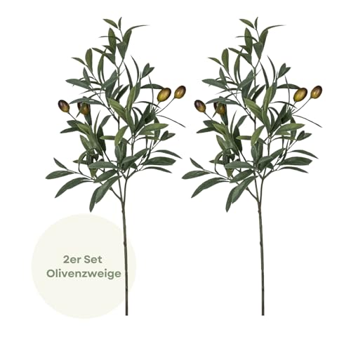 CREATIV green 2er Set künstliche Olivenzweige 56cm I Olivenzweig für Vase I Dekozweig künstlich I künstlicher Zweig mit naturgetreuen Oliven I Tischdeko I Ganzjahres-Deko I hochwertige Kunstblumen CREATIV green 2er Set künstliche Olivenzweige 56cm I Olivenzweig für Vase I Dekozweig künstlich I künstlicher Zweig mit naturgetreuen Oliven I Tischdeko I Ganzjahres-Deko I hochwertige Kunstblumen von CREATIV green