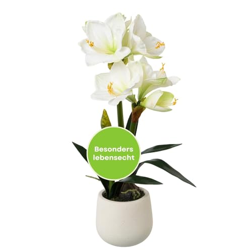 CREATIV green Amaryllis 60cm in weiß I Amaryllis künstlich mit naturgetreuen Blüten I hochwertige Kunst-Amaryllis im Topf I Real Touch Kunstblume Amaryllis ideal als Indoor- oder Weihnachtsdeko von CREATIV green