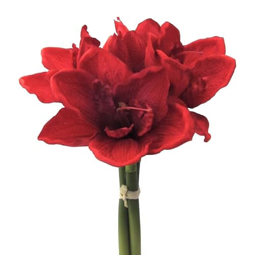 CREATIV green Amaryllis Bund 32cm in rot I Weihnachtsdeko Amaryllis mit 3 Stielen I künstliche rote Amaryllis Weihnachtsdeko I hochwertige & stilvolle Kunst-Amaryllis I künstlicher Blumen-Bund CREATIV green Amaryllis Bund 32cm in rot I Weihnachtsdeko Amaryllis mit 3 Stielen I künstliche rote Amaryllis Weihnachtsdeko I hochwertige & stilvolle Kunst-Amaryllis I künstlicher Blumen-Bund von CREATIV green