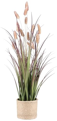 CREATIV green Lagurusgras im Topf, 60cm, rosa Pfeffer - echte getrocknete Wedel CREATIV green Lagurusgras im Topf, 60cm, rosa Pfeffer - echte getrocknete Wedel von CREATIV green
