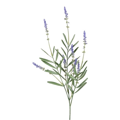 CREATIV green 2er-Set künstliche Lavendelzweige 50cm mit lila Blüten I Lavendel für Vase I künstlicher Dekozweig mit naturgetreuen Lavendelblüten I Tischdeko I hochwertige Kunstblumen von CREATIV green