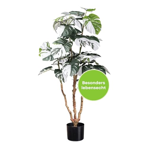 CREATIV green Monstera Pflanze künstlich 110cm I künstliche Monstera Deliciosa Variegata mit Erde & Topf in schwarz I täuschend echte Kunstpflanzen I Pflegeleichte Kunstpflanze mit 38 Blättern von CREATIV green