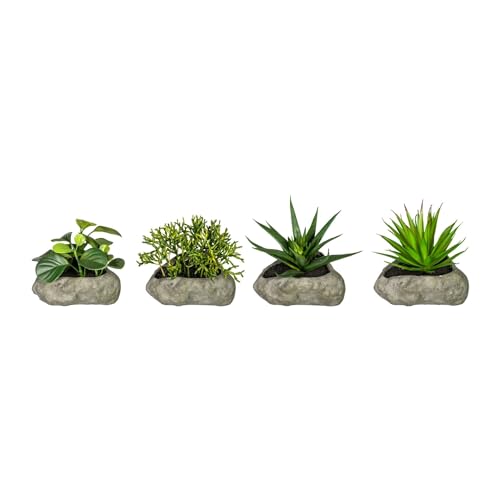 CREATIV green Sukkulenten künstlich 4 Stück in 12-15cm I Kunstpflanzen wie echt mit naturgetreuen Blättern I künstliche Sukkulenten mit Stein-Topf in 12x6cm I ideal als Badezimmer Deko von CREATIV green