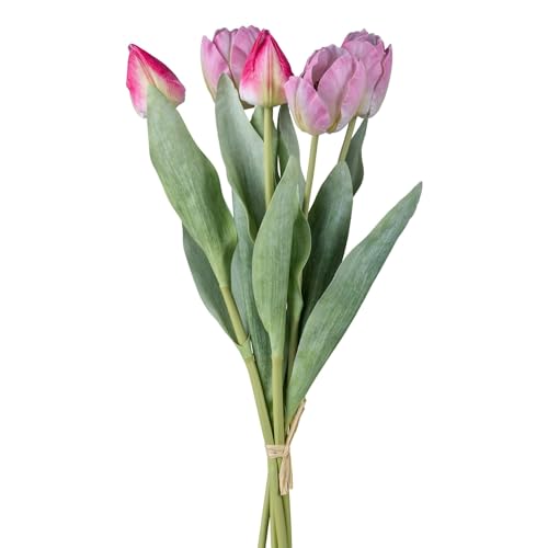 CREATIV green Tulpenbund rosa-Mix 49cm I Künstliche Tulpenblumen im 5er Bund I Frühlingshafte Kunsttulpen mit naturgetreuen Blüten & Blättern I Pflegeleichte Dekopflanze I Rosa Tulpenstrauß CREATIV green Tulpenbund rosa-Mix 49cm I Künstliche Tulpenblumen im 5er Bund I Frühlingshafte Kunsttulpen mit naturgetreuen Blüten & Blättern I Pflegeleichte Dekopflanze I Rosa Tulpenstrauß von CREATIV green
