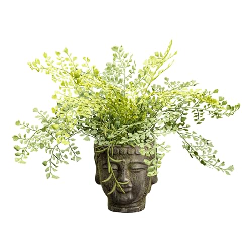 CREATIV green künstliche Adiantum Pflanze 35cm I künstlicher Farn wie echt mit naturgetreuen Blättern & Moos I künstliche Pflanzen im Buddha Zement-Topf I stilvolle Kunstpflanzen ideal als Indoor Deko von CREATIV green