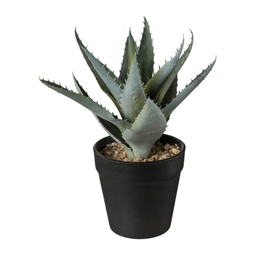 CREATIV green künstliche Aloe Vera Pflanze 20cm I Aloe Vera Deko Pflanze mit schickem Topf I stilvolle Kunstpflanze im Topf mit naturgetreuen Blättern I realitätsnahe Badezimmer Deko Pflanzen von CREATIV green