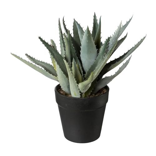 CREATIV green künstliche Aloe Vera Pflanze 23cm I Aloe Vera Deko Pflanze mit schickem Topf I stilvolle Kunstpflanze im Topf mit naturgetreuen Blättern I realitätsnahe Badezimmer Deko Pflanzen von CREATIV green