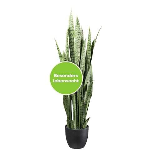 CREATIV green künstliche Bogenhanf Pflanze 110cm I künstliche grüne Zimmerpflanze im Topf mit naturgetreuen Blättern I stilvolle künstliche Grünpflanze wie echt mit Topf 19x17cm CREATIV green künstliche Bogenhanf Pflanze 110cm I künstliche grüne Zimmerpflanze im Topf mit naturgetreuen Blättern I stilvolle künstliche Grünpflanze wie echt mit Topf 19x17cm von CREATIV green