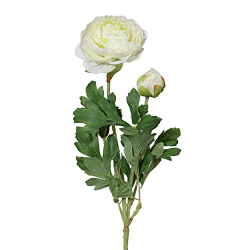 CREATIV green künstliche Creme-farbene Ranunkel 6er Set I Kunstblumen für Vase 40cm I künstliche Ranunkel in Creme mit Blüten & Knospen I Tischdeko Frühling I Frühlings-Deko I hochwertige Kunstblumen von CREATIV green