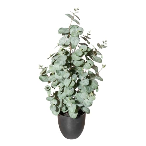 CREATIV green künstliche Eukalyptus Pflanze 60cm im Topf mit Erde I künstliche naturgetreue und hochwertige Dekopflanze für Innen von CREATIV green
