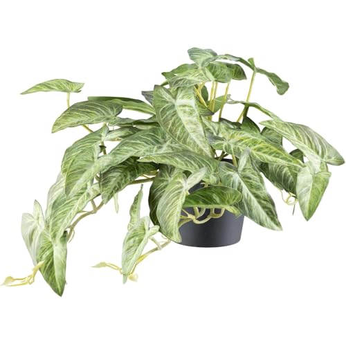 CREATIV green künstliche Hängepflanze Alocasia mit 4 Ranken I Künstliche grüne Zimmerpflanze zum hängen mit Ranken & 46 Blättern im schwarzen Kunststofftopf I hochwertige Grünpflanze für innen von CREATIV green