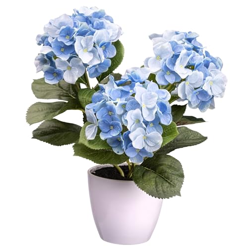 CREATIV green künstliche Hortensienpflanze blau im Kunststofftopf 32 cm I naturgetreue Kunstpflanze im Topf I künstliche Hortensie mit 3 Blüten für Innen I hochwertige & dekorative Dekopflanze von CREATIV green
