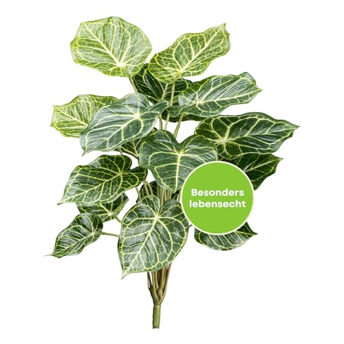CREATIV green künstliche Nephthytis 50cm I Pflanze künstlich mit 18 naturgetreuen Blättern I hochwertige Grünpflanzen künstlich I schöne Kunst Pflanzen fürs Zimmer I ideal als Indoor Deko von CREATIV green