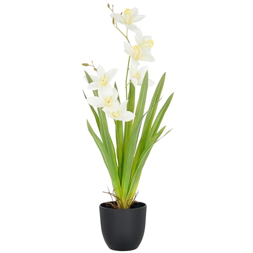 CREATIV green künstliche Orchidee Cymbidium 55cm weiß im Kunststofftopf 11,5x10,5cm I künstliche Orchidee mit weißen Blüten wie echt im Topf I Pflegeleichte & täuschend echte Kunstblumen CREATIV green künstliche Orchidee Cymbidium 55cm weiß im Kunststofftopf 11,5x10,5cm I künstliche Orchidee mit weißen Blüten wie echt im Topf I Pflegeleichte & täuschend echte Kunstblumen von CREATIV green
