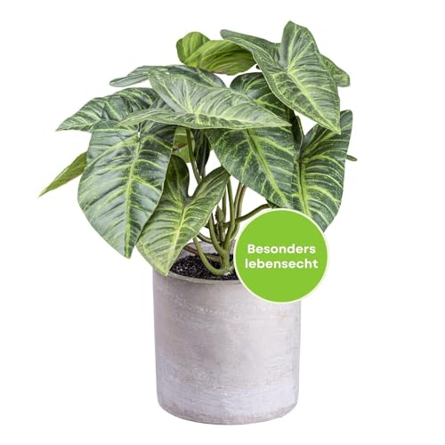 CREATIV green künstliche Syngonium 22cm I Kunstpflanze mit 12 naturgetreuen grünen Blättern & Erde I Kunstpflanzen wie echt im stilvollen Zement-Topf I hochwertige Deko Pflanzen ideal als Indoor Deko von CREATIV green