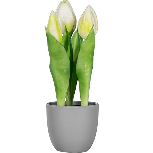 CREATIV green künstliche Tulpen im Topf 20,5 cm I 3 weiße Tulpen I künstliche Tulpen I Frühlings-Deko I Deko für Ostern I hochwertige Kunstblumen I Kunststoffblumen von CREATIV green
