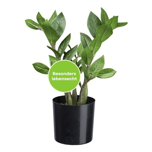 CREATIV green künstliche Zamiifolia Glücksfeder 30cm I künstliche Pflanzen wie echt I hochwertige Kunstpflanzen mit realitätsnaher Erde/Moos & Topf I ideal als Indoor Deko von CREATIV green
