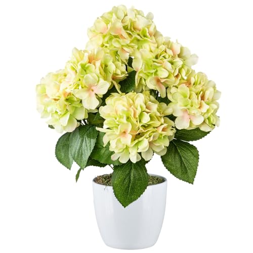 CREATIV green künstliche grün-rosa Hortensie 52 cm im weißen Keramiktopf I naturgetreue Hortensie im Topf I künstliche Hortensie wie echt mit 7 grünen Blüten für Innen I hochwertige Dekopflanze von CREATIV green