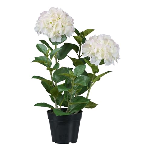 CREATIV green künstliche weiße Hortensie 58 cm im schwarzen Kunststofftopf I Hortensie wie echt im Topf I künstliche Hortensie mit 5 Zweigen & 2 Blüten für Innen I hochwertige Dekopflanze von CREATIV green
