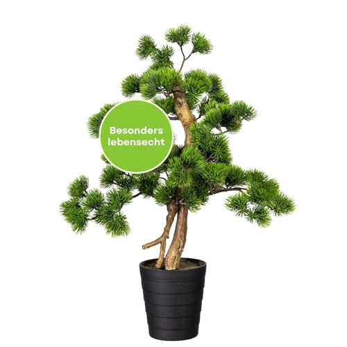 CREATIV green künstlicher Bonsai Kiefer Baum 60 x 40cm I Bonsai Baum künstlich mit Kunststoff-Topf 13,5 x 15cm in schwarz I künstliche Pflanzen als Wohnzimmer Deko I Kunstpflanze Bonsai von CREATIV green