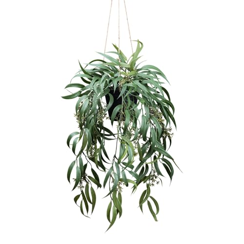 CREATIV green künstlicher Eukalyptus globolus ca 65cm I hängender Eukalyptus künstlich mit naturgetreuen Blättern & Fruchtstand I schicke künstliche Eukalyptus Pflanze I Kunstpflanze hängend mit Topf von CREATIV green