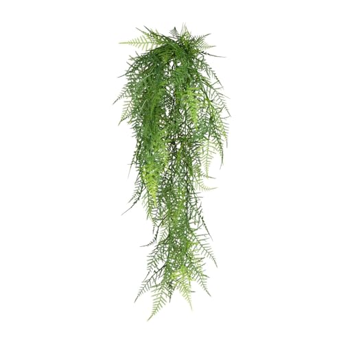 CREATIV green künstlicher Farn Asparagus plumosus 80cm I künstliche Hängepflanzen mit naturgetreuen Blättern I künstlicher Farn wie echt I hängende Deko Pflanzen künstlich ideal als Indoor Dekoration von CREATIV green