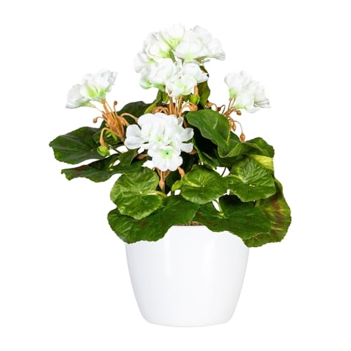 CREATIV green künstlicher Geranien-Busch 24cm in weiß I Geranien künstlich mit 5 Blüten in weißem Keramiktopf I künstliche Geranien UV-beständig & realitätsnah I stilvolle Kunstblumen wie echt CREATIV green künstlicher Geranien-Busch 24cm in weiß I Geranien künstlich mit 5 Blüten in weißem Keramiktopf I künstliche Geranien UV-beständig & realitätsnah I stilvolle Kunstblumen wie echt von CREATIV green