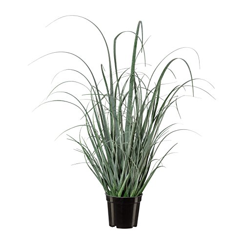 CREATIV green künstlicher Gras-Busch 60cm I Kunstgras hoch mit naturgetreuen & geeisten Gräsern I realitätsnahe Dekogras Kunstpflanze im Topf I hochwertige Gräser künstlich ideal als Indoor Deko von CREATIV green