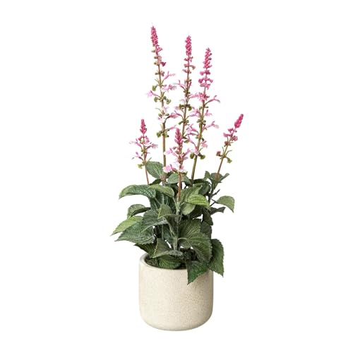 CREATIV green künstlicher Salbei 45cm im Zementtopf mit Blüten I künstlicher täuschend echter Salbeibusch mit rosa Blüten I Deko Salbei für Innen I hochwertige Dekopflanze I Kunstpflanze im Topf von CREATIV green