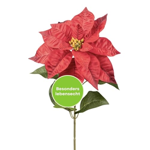 CREATIV green künstlicher Weihnachtsstern 56cm in rot I 2 Stück I Kunstblumen Weihnachten mit realitätsnahen Blüten I künstliche Weihnachtssterne ideal als Indoor Weihnachtsdeko von CREATIV green