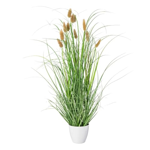 CREATIV green künstliches Gras im weißen Topf 60 cm mit echten getrockneten Wedeln I künstliches Ziegras im Topf I dekoratives Schilfgras für Innen I hochwertige & dekorative Kunstpflanze von CREATIV green