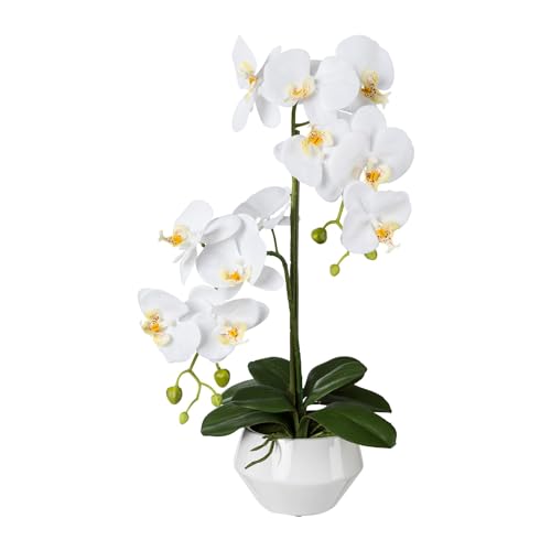 CREATIV green stilvolle Phalaenopsis Kunstorchidee 52cm in weiß I künstliche Orchideen wie echt mit weißem Keramik-Topf & naturgetreuen Blüten I Real Touch täuschend echte Kunstblumen von CREATIV green