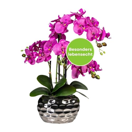 CREATIV green stilvolle Phalaenopsis Kunstorchidee 55cm in violett I künstliche Orchideen wie echt mit Vase in Silber & naturgetreuen Blüten I Pflegeleichte & täuschend echte Kunstblumen von CREATIV green