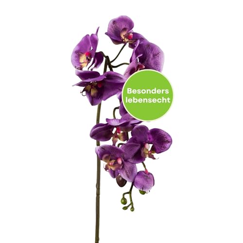 CREATIV green stilvolle Phalaenopsis Kunstorchidee 86cm in lila I künstliche Orchideen wie echt mit naturgetreuen Blüten I Pflegeleichte & täuschend echte Kunstblumen I Ideal als Blumen Deko von CREATIV green