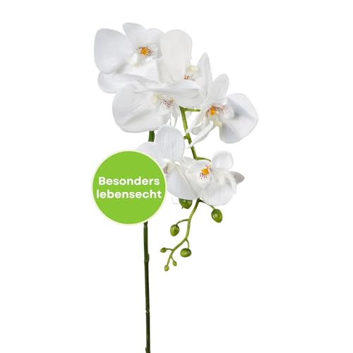 CREATIV green stilvolle Phalaenopsis Kunstorchidee 86cm in weiß I künstliche Orchideen wie echt mit naturgetreuen Blüten I Pflegeleichte & täuschend echte Kunstblumen I Ideal als Blumen Deko von CREATIV green