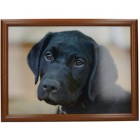 CREATIVE TOPS Labrador - Gesteppter Sitzsack, 44 x 34 cm, Mehrfarbig CREATIVE TOPS Labrador - Gesteppter Sitzsack, 44 x 34 cm, Mehrfarbig von CREATIVE TOPS