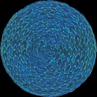 CREATIVE TOPS Set de 4 Tischsets mit Hyazinthenmotiv dede Wasser de CREATIVE TOPS Set de 4 Tischsets mit Hyazinthenmotiv dede Wasser de von CREATIVE TOPS