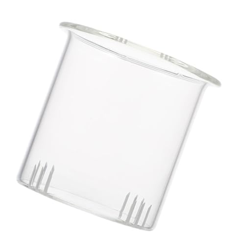 CRILSTYLEO Teeglas Sieb Tee-Ei Teefilter Für Losen Tee Glas Sieb Teezubehör Einfach Zu Reinigen Und Verstauen CRILSTYLEO Teeglas Sieb Tee-Ei Teefilter Für Losen Tee Glas Sieb Teezubehör Einfach Zu Reinigen Und Verstauen von CRILSTYLEO