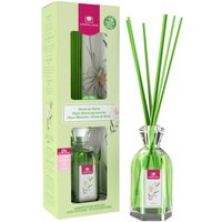 Crystalline Reed Diffuser 180ml Nachtblühender Jasmin Diffusor de aroma Flasche de Duft Silber, Klar von CRISTALINAS