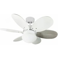 Orion AC-Ventilator in Weiß-Asche Orion AC-Ventilator in Weiß-Asche von CRISTALRECORD