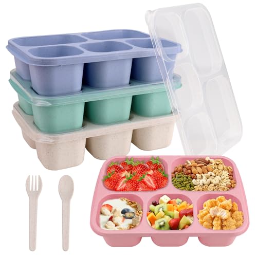 4PCS Bento Lunch Boxen Erwachsene, Snack-Box mit 5 Fächern, Bento Boxen Geteilt Lebensmittel Lagerung Container mit Löffel Gabel, Kinder Lunch-Boxen für Schule Arbeit Reisen (Mikrowelle Sicherheit) von CRITIVE-SHOP